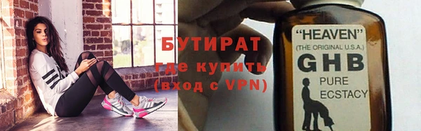 индика Богданович