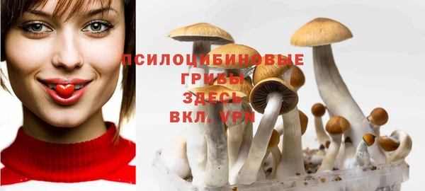 дурь Бородино