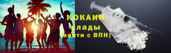 дурь Бородино