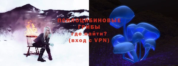 не бодяженный Богородицк