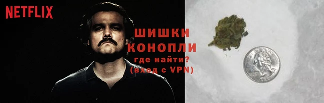 гидра Бугульма