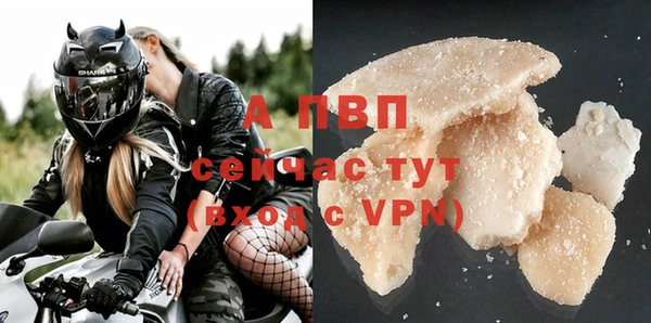 дурь Бородино